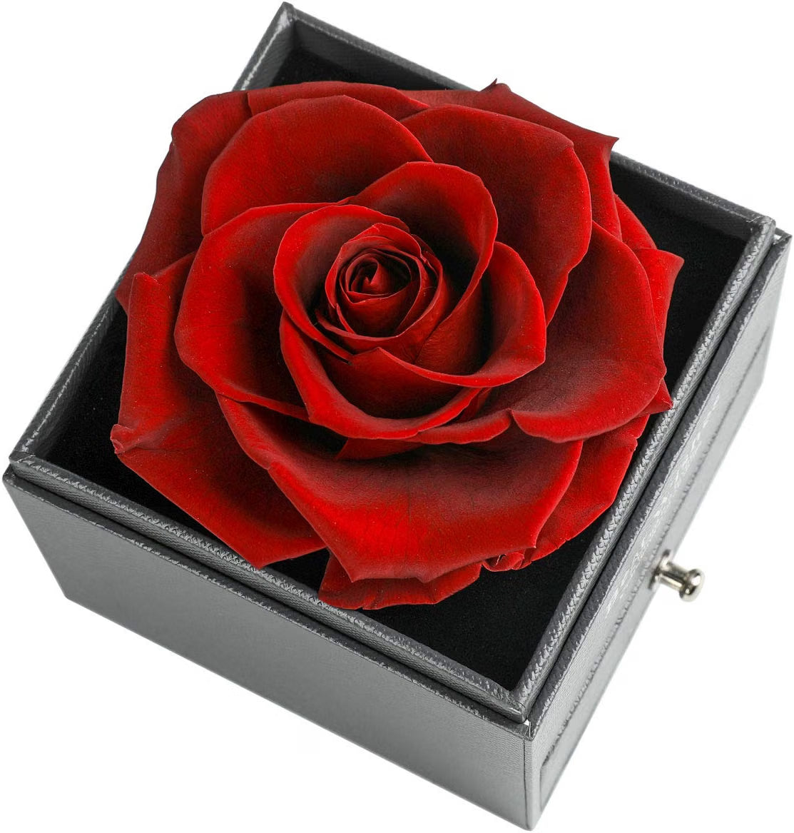 Preserved Real Rose Drawer with Heart Necklace I Love You in 100 Languages Gift Set, Handmade Enchanted Real Rose Flower for Valentine’S Day Anniversary Birthday Romantic Gifts for Her (Wine)