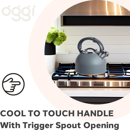OGGI Tea Kettle for Stove Top - 64Oz / 1.9Lt, Stainless Steel with Loud Whistle, Ideal Hot Water Kettle and Water Boiler - Gray